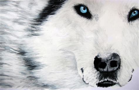 Moonlight Wolf by anneeeTH on DeviantArt