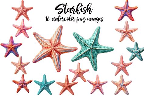 Starfish Clipart Graphic By Retrowalldecor Creative Fabrica