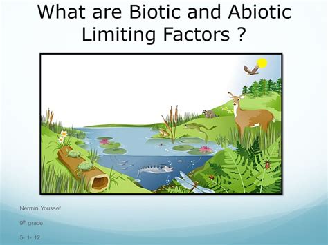 Biotic Factors Examples