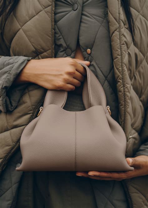 Polène Bag Numéro Neuf Mini Textured Taupe in 2024 Taupe bag