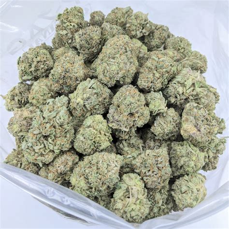 Bulkweedinbox Coupons Save 35 Off Weedpedia Review