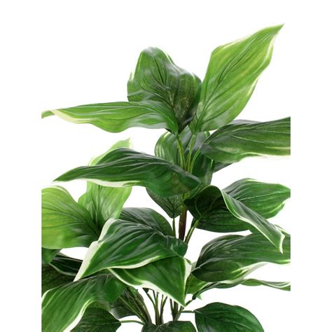 Plante Verte Hosta Artificiel Vert Cm Plantes Vertes Artificielles