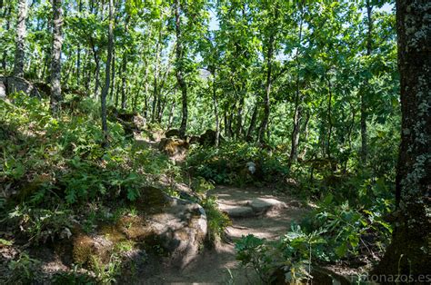 Ruta A Los Pilones En La Garganta De Los Infiernos