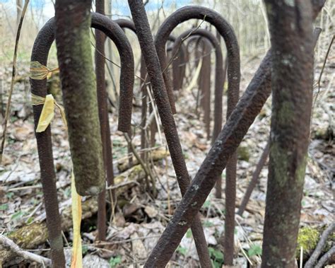 Inside Omaha's Maximum Security Prison: Uncharted Facts Revealed 2