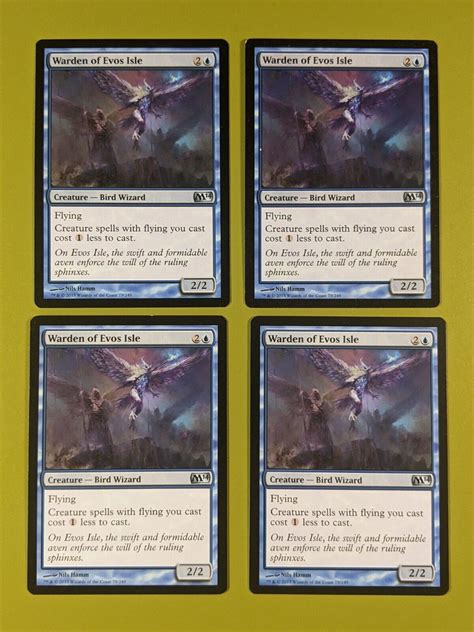 Warden Of Evos Isle X Magic M X Magic The Gathering Mtg Ebay