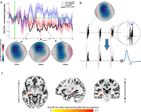 Value Erp The Eeg Informed Fmri Analysis A The Group Average Erps