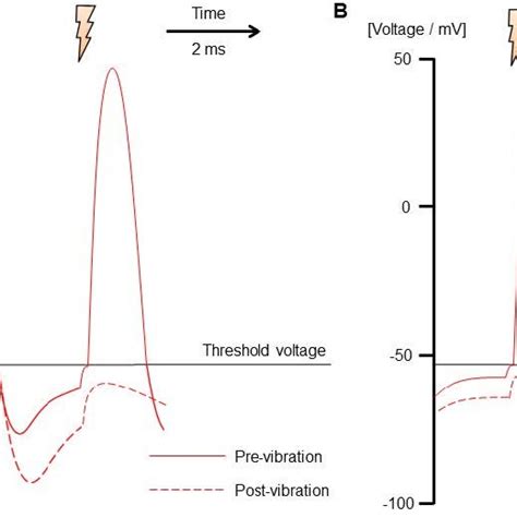 Graphical Representation Of A Hypothetical Underlying Mechanism For