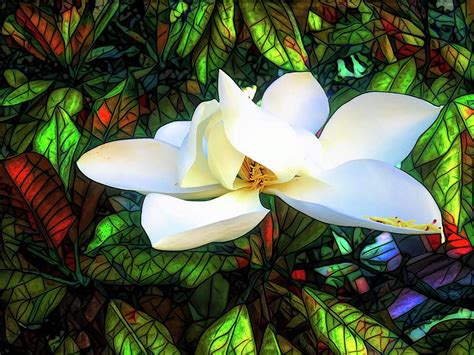 Magnolia Mosaic Photograph By Christina Ford Fine Art America