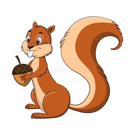 Squirrel With Nut Cartoon Illustration Stock Vector Illustration Of