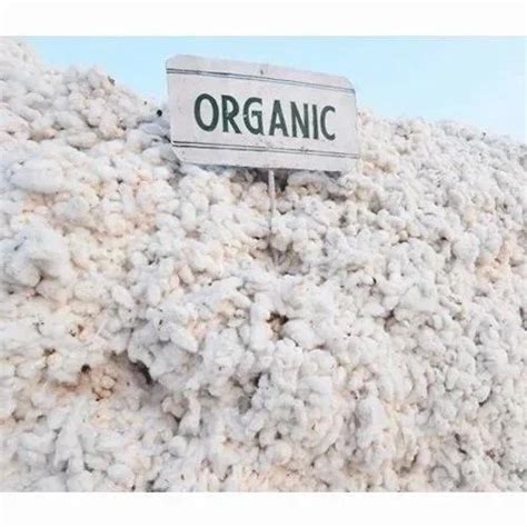 White Raw Organic Cotton at Rs 700/kg in Guntur | ID: 2853764924855