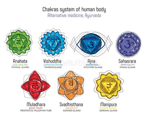 Chakras Set Muladhara Swadhisthana Manipura Anahata Vishuddha