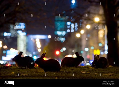 Paris By Night Silhouette Hi Res Stock Photography And Images Alamy