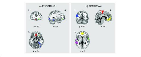 Task Related FMRI Data The Figure Shows A The Subsequent Memory