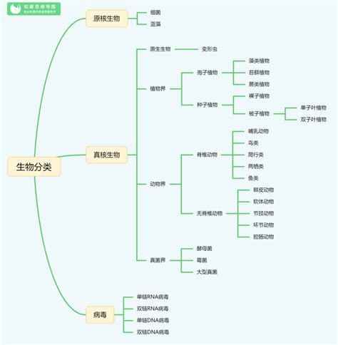 八年级上册生物分类思维导图 生物知识框架图知犀官网