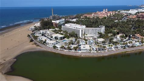 Wetter Gran Canaria Maspalomas 10 07 23 Junge Haie überraschen