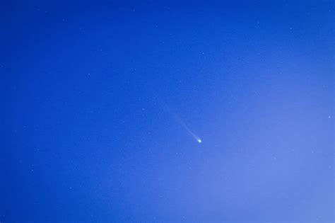 La Cometa Nishimura Passa Vicino Alla Terra Come Vederla Sky TG24