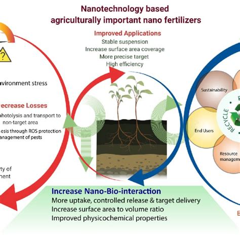 PDF Nanoparticle Based Sustainable Agriculture And Food Science