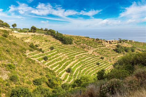 Your 2025 guide to Calabria wine region | Winetourism.com