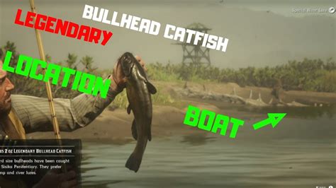 Rdr2 Legendary Bullhead Catfish Location - img-primrose