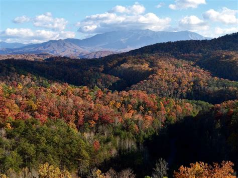 Mountainscape Mountainscape Theater Cabins Pigeon Forge United