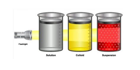 Mixture Types: Solution, Suspension, Colloids & Others : Plantlet