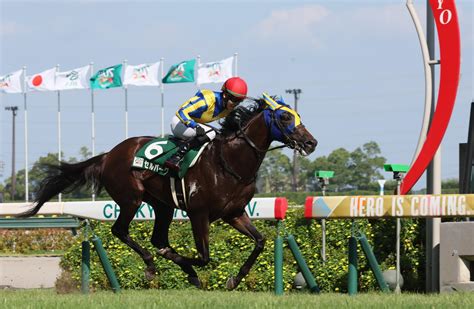 【中京記念】8番人気のセルバーグが重賞初制覇 競馬ニュース Netkeiba