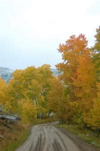 Crested Butte Camping Guide