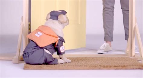 Naked Plays The Cuteness Card The Stable