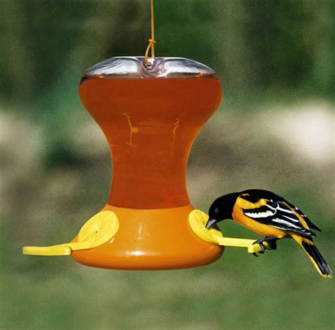 Oriole Feeder With Bee Guard