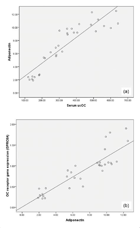 Correlation A Between Serum Ucoc And Serum Adiponectin And B