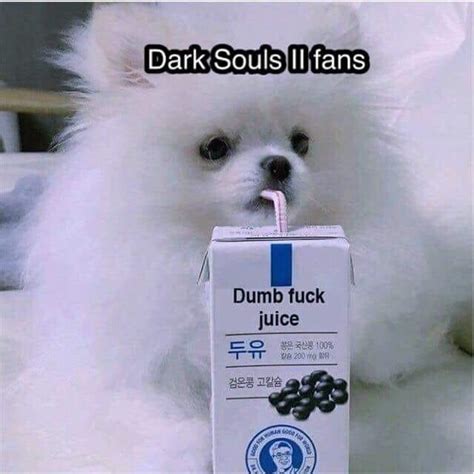 Dark Souls Ii Fans Dumb Fuck Juice Know Your Meme