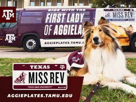 Texas A&M Unveils Reveille Statue In Front Of Kyle Field - Texas A&M Today