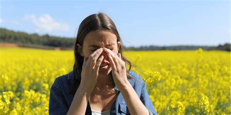 Hay Fever And Seasonal Allergies