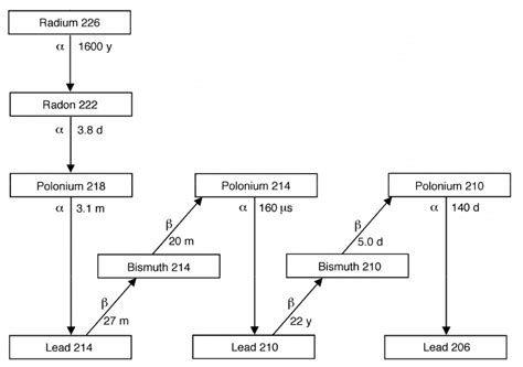 The Basic Radon Rn Decay Chain The Isotopes And Their Atomic