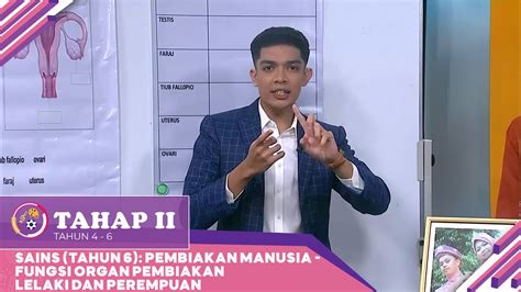 Tahap Ii Klip Sains Tahun Fungsi Organ Pembiakan Lelaki