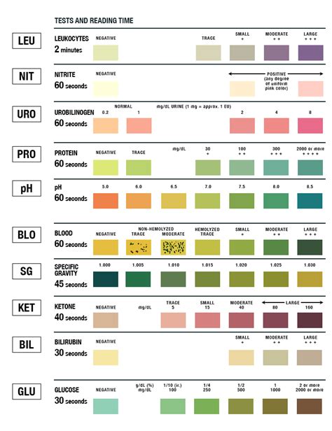 Urinalysis Test Strip Color Chart