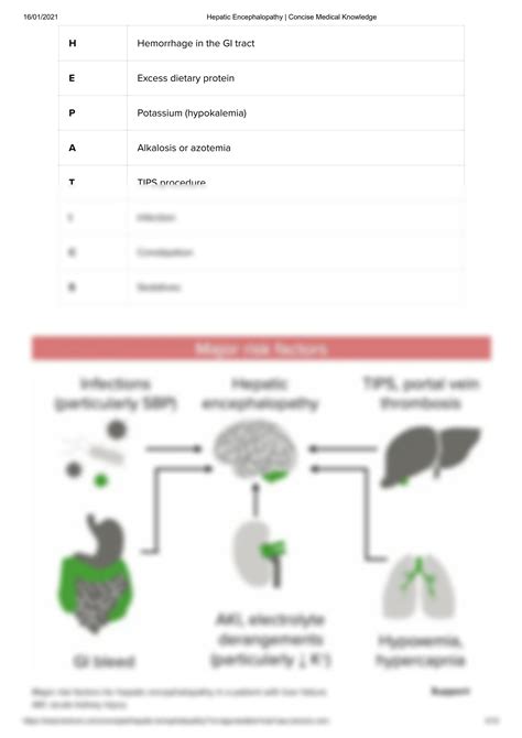 Solution Hepatic Encephalopathy Concise Medical Knowledge Studypool