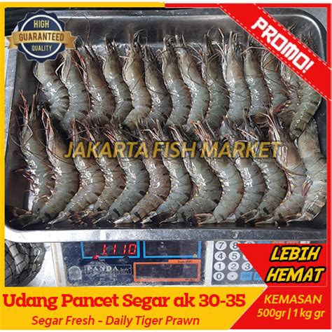 Jual Udang Pancet Besar Kg Ak Udang Windu Segar Black Tiger