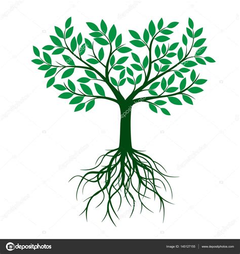 Green Tree With Roots And Leafs Vector Illustration Stock Vector