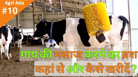 गाय की मसाज करने का ब्रश Cow Grooming Brush Cow Comfort Brush Cow