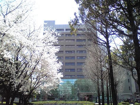 Kumamoto University | Wiki | Everipedia