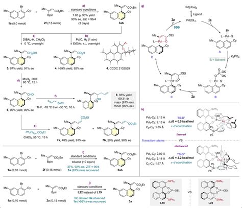 Gram‐scale Synthesis And Synthetic Transformations Of 3 Ab Proposed Download Scientific