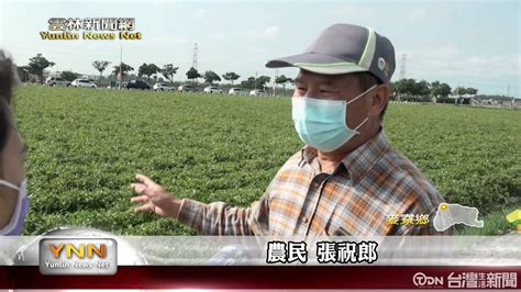 落花生栽培觀摩會 朝陽科大農業輔導團隊助農民提升品質產量 鑫傳國際多媒體科技股份有限公司 Tdn台灣生活新聞