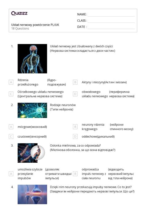 Ponad 50 Burza mózgów arkuszy roboczych dla Przedszkole w Quizizz