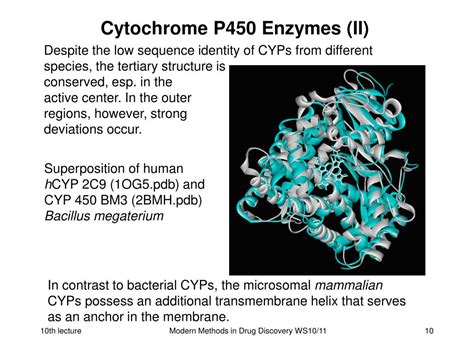 Ppt Cytochrom P Polymorphism Transporters Powerpoint