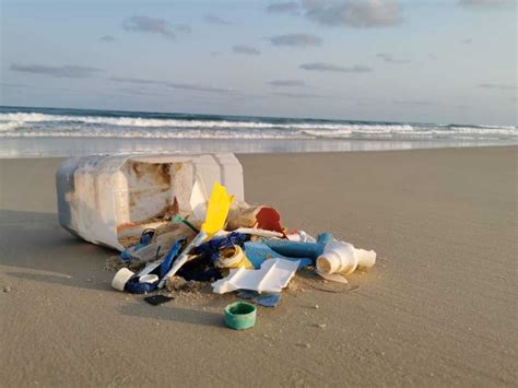 Clean Up Australia Day 2023 | Rainbow Beach Community News