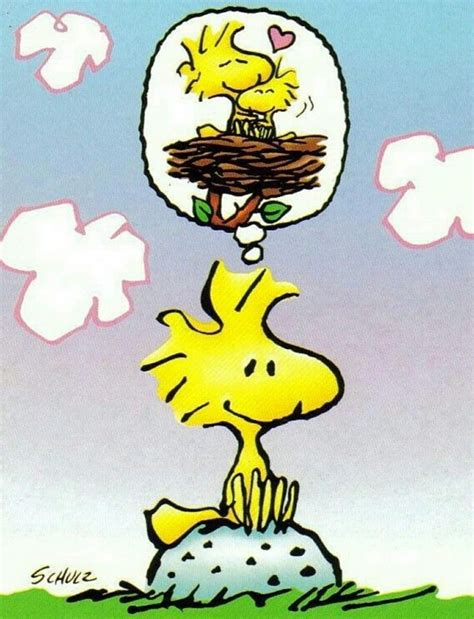 Woodstock | Snoopy pictures, Snoopy images, Snoopy love