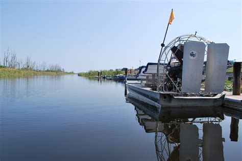 Fun Wildlife to Look for on Your Next Everglades Tour - Newsments