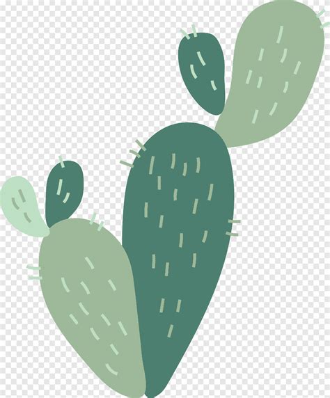 Descarga Gratis Cactaceae Nopal Verde Cactus Verde Amor Amor