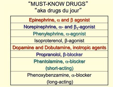 Bod Quiz 1 Alpha And Beta Receptors Nursing School Survival